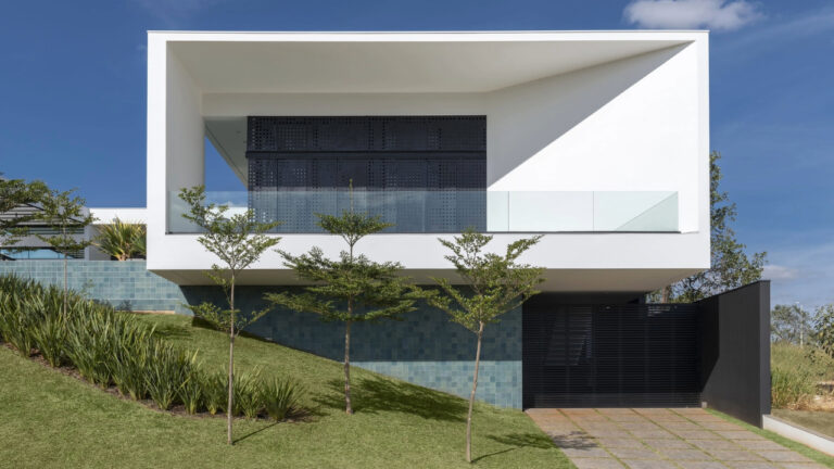 Essas Plantas na Porta de Casa Podem Trazer Prosperidade e Harmonia!